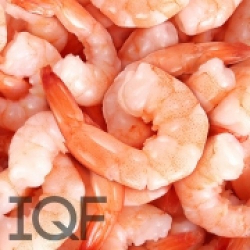Frozen Large Prawns, for Hotel, Mess, Restaurant, Style : Preserved