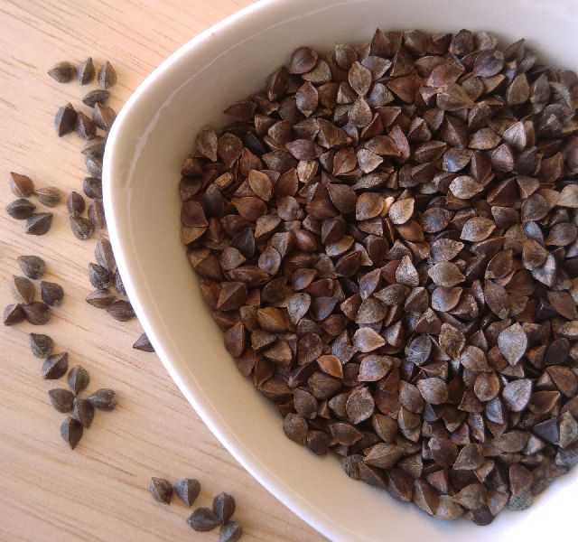 Organic Buckwheat Seeds, Packaging Type : Jute Bag, Plastic Bag
