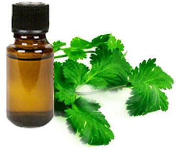 Coriander Oil, Packaging Type : Plastic Bottle