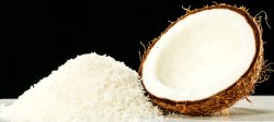 Coconut powder, Packaging Size : 1kg to 25kg
