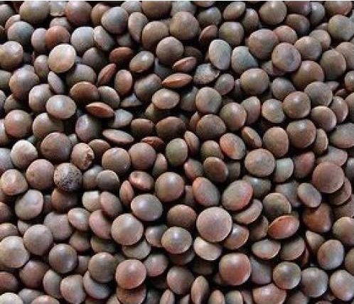 Organic Black Masoor Dal