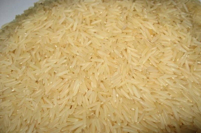Soft Organic Golden Non Basmati Rice, for High In Protein, Variety : Long Grain, Medium Grain, Short Grain