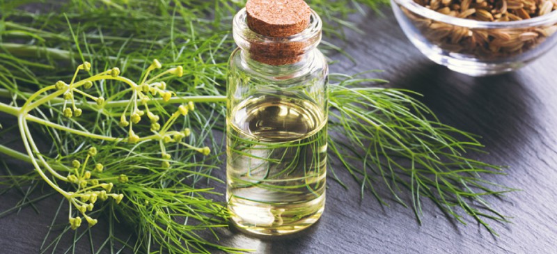 Fennel Oil