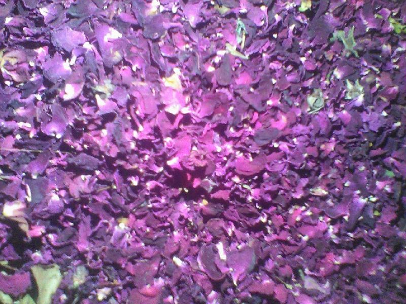 Dry Rose Petals