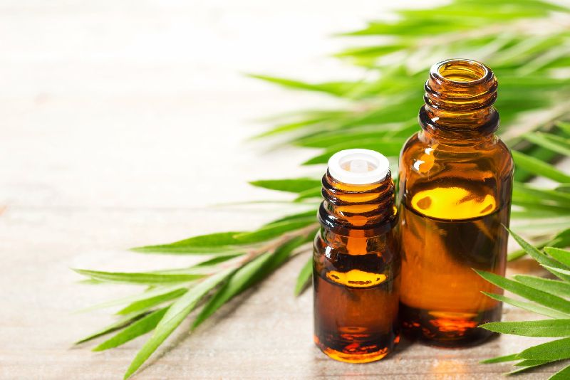 Tea Tree Oil, for Aromatherapy, Cosmetics, Flavour, Fragrancesfood Flavoring, Medicine, Natural Perfumery