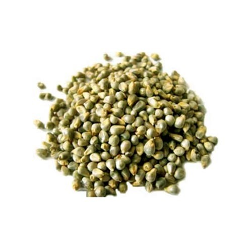 Organic Green Millet Seeds, for Cattle Feed, Cooking, Style : Dried