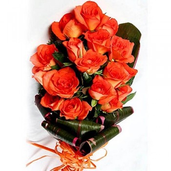 Dutch Orange Roses