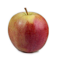 Ligol Apple