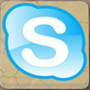 Skype Consultation Services