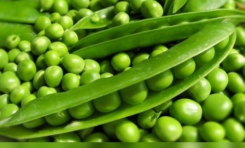 Common Fresh Peas