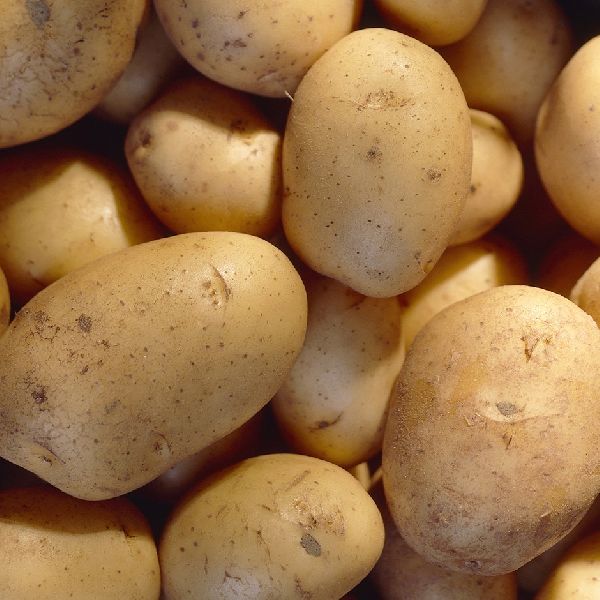 Fresh potato, for in curries, etc, Feature : improve eye's health., boost health heart