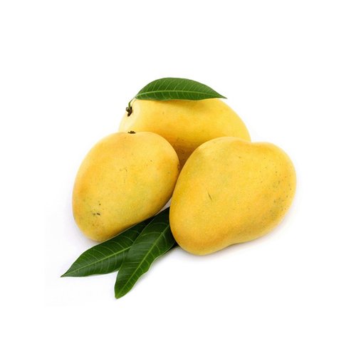 Hand pick fresh mango, Grade : A+