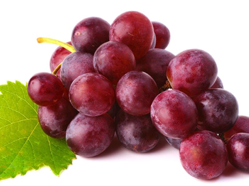 Organic Fresh Red Grapes, Shelf Life : 5-7days