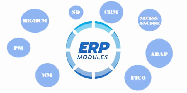 SAP-ERP Training Service