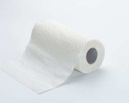 Embossed Kitchen Paper Towel Roll