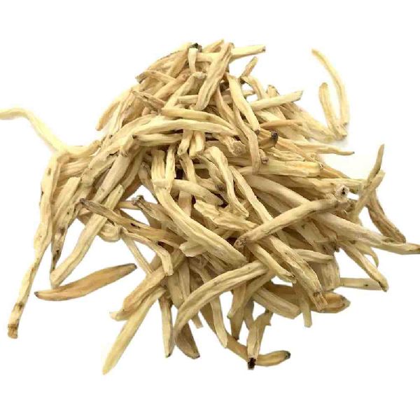 Safed Musli Roots, Color : White