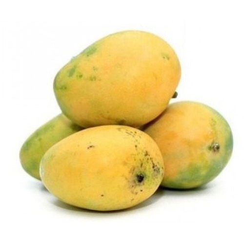 Organic Fresh Banganapalli Mango, Feature : Healthy