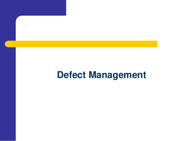 Defect Tracking Services