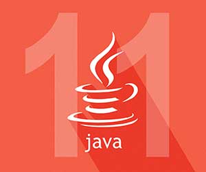 Java 11 with JavaFX Course