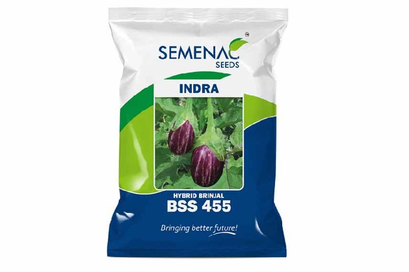 BSS 455 Hybrid Brinjal seed
