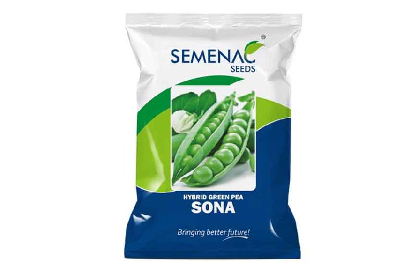 Green Pea - Sona