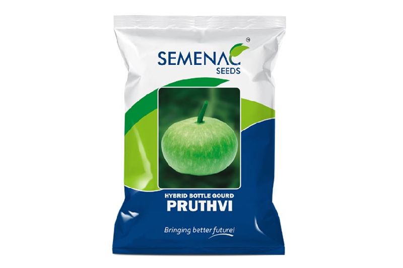 Hybrid Pruthvi Bottle Gourd Seeds