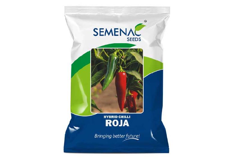 Hybrid Roja Green Chilli Seeds