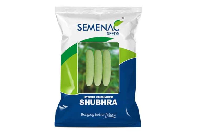 Hybrid Shubhra Cucumber Seeds