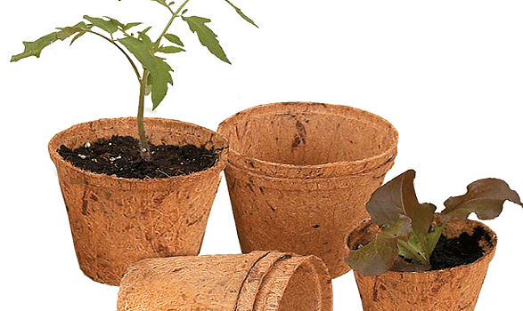 Coir Pots, Feature : Bio-degradeable, Eco Friendly