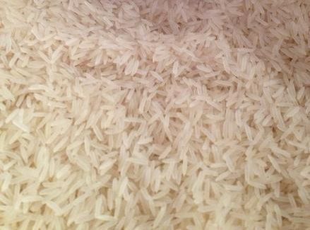Hard Organic Sharbati Sella Basmati Rice, Shelf Life : 18 Months