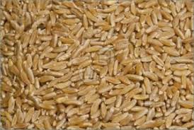 Dubar Tibar Rice