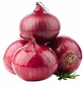 Oval-Round Organic fresh onion, Color : Red