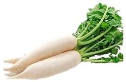 Fresh Radish, Color : White