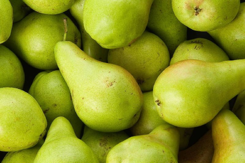 Common Fresh Pears, Color : Green