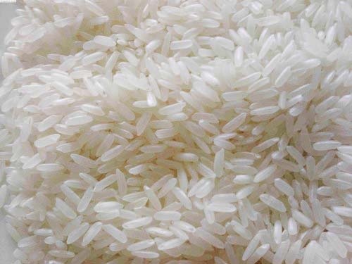 Common Swarna Masoori Rice, for Cooking, Variety : Long Grain