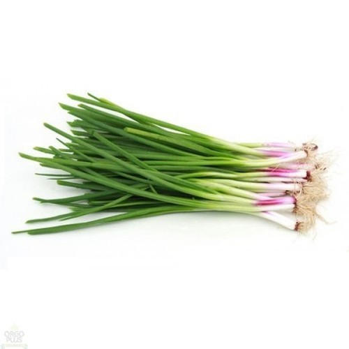 Organic Fresh Spring Onion, Color : Green