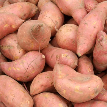 Natural fresh sweet potato, Packaging Type : Gunny Bags