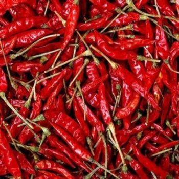 Byadgi Chilli, Length : 10-13Cm {Without Steam}