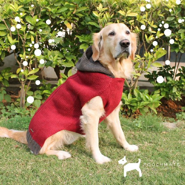 Hooded Dog Sweaters by PoochMate, hooded dog sweaters, INR 1.70 kINR 2.40 k / Piece(s) | ID ...
