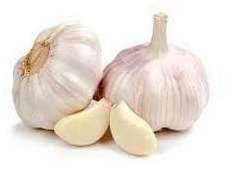 Fresh Garlic