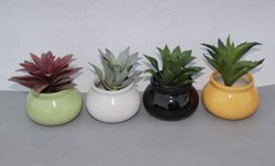 Round Ceramic Flower Pots, Color : White