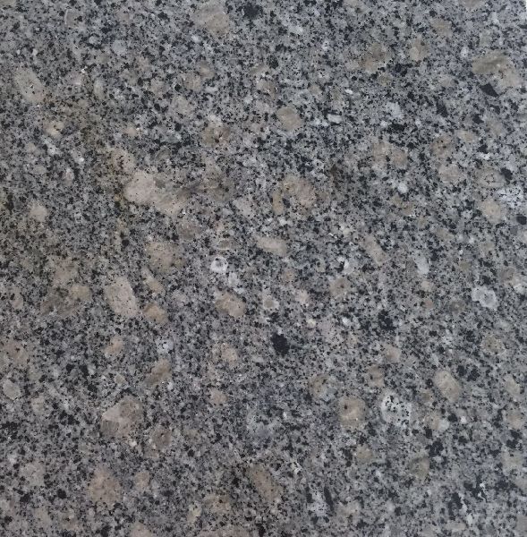 Dungri Grey Granite