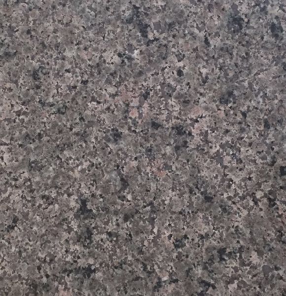 Doted Nosra Green Granite, Feature : Antibacterial, Easy To Clean, Non Slip, Striking Colours, Stylish Design
