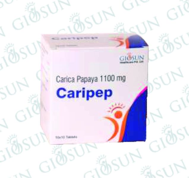 Ayurvedic proprietary medicine - CARIPEP, for Treatment, Health, Gender : Unisex