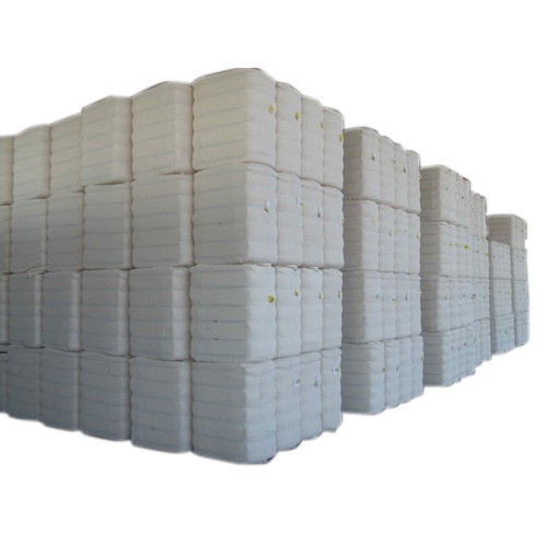 Buy Cotton Bales from M A PATEL & CO, Rajkot, India ID 5436962