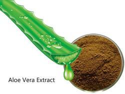 Aloe Vera Extract, Packaging Type : Polybag, Aluminium Pack, HDPE Drum