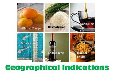 Geographical Indication Service