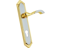 Galaxy Brass Mortise Handle