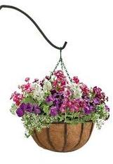 Round Stainless Steel Hanging Plant Basket, for Home