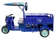 Electric E Rickshaw Loader